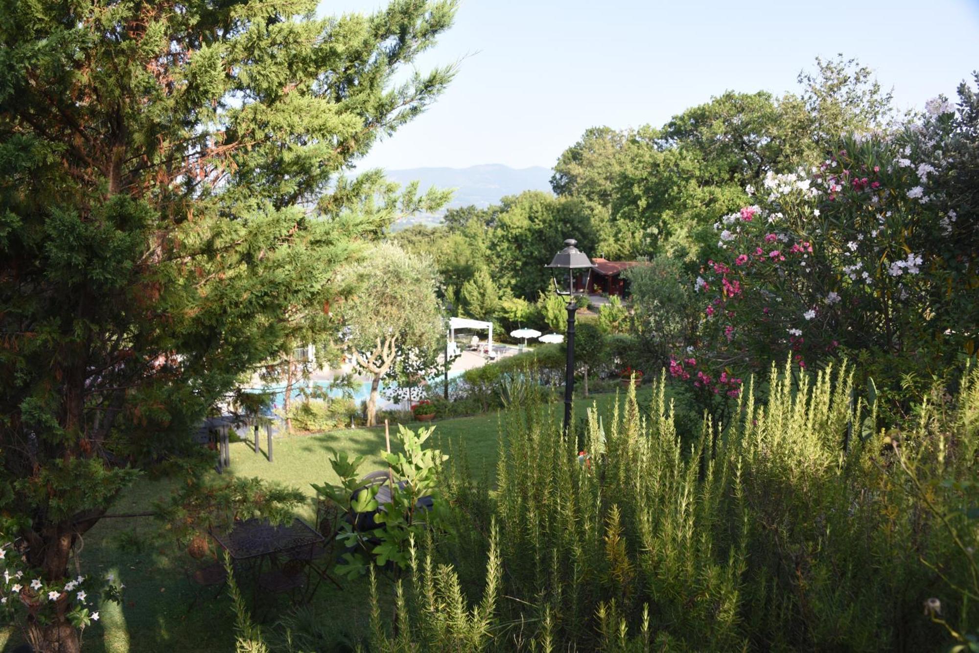Bosco D'Olmi Country House Sant'Andrea del Garigliano 外观 照片